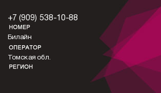 9095381088